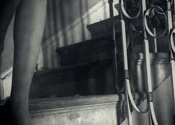 Dreams Of Lilly Roma