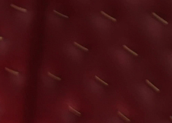 Bs Xtreme Live Show 63 - Denni Taylor, Michelle Moist